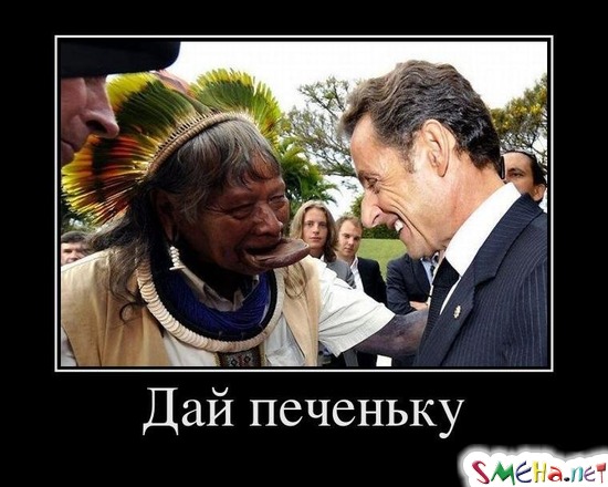Дай печеньку