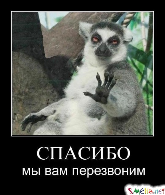 СПАСИБО - мы вам перезвоним