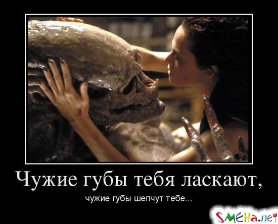 Чужие губы тебя ласкают, чужие губы шепчут тебе...