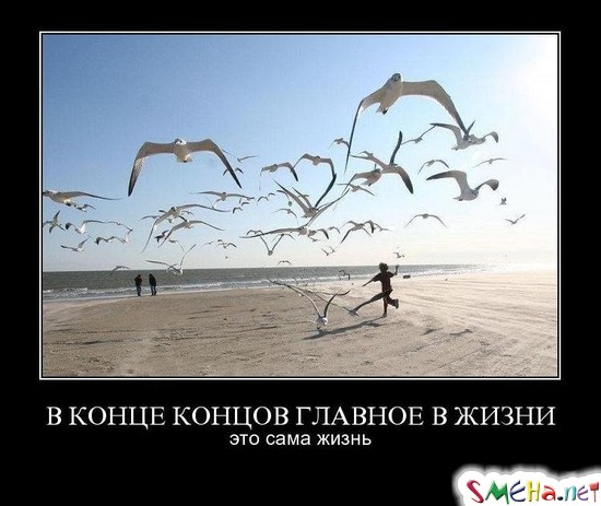 В КОНЦЕ КОНЦОВ ГЛАВНОЕ В ЖИЗНИ - это сама жизнь