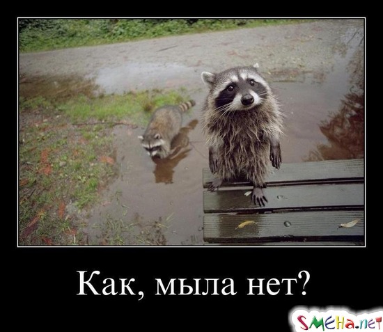 Как, мыла нет?