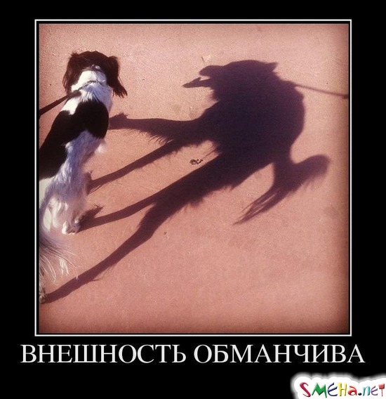 ВНЕШНОСТЬ ОБМАНЧИВА