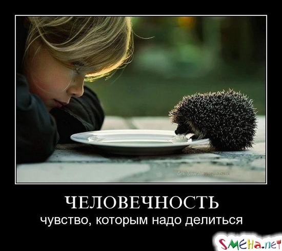 ЧЕЛОВЕЧНОСТЬ - чувство, которым надо делиться