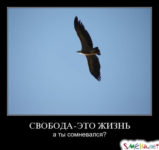 СВОБОДА - ЭТО ЖИЗНЬ - а ты сомневался?