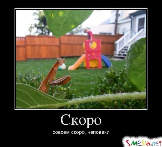 Скоро совсем скоро, человеки