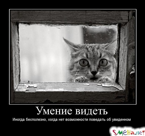 Умение видеть - Иногда бесполезно, когда нет возможности поведать об увиденном