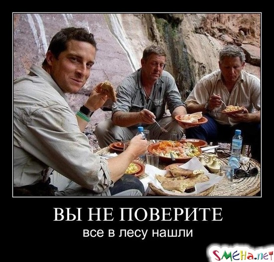 ВЫ НЕ ПОВЕРИТЕ - все в лесу нашли