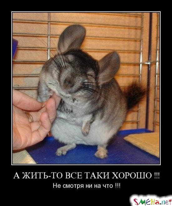 А ЖИТЬ-ТО ВСЕ ТАКИ ХОРОШО !!! - Не смотря ни на что !!!