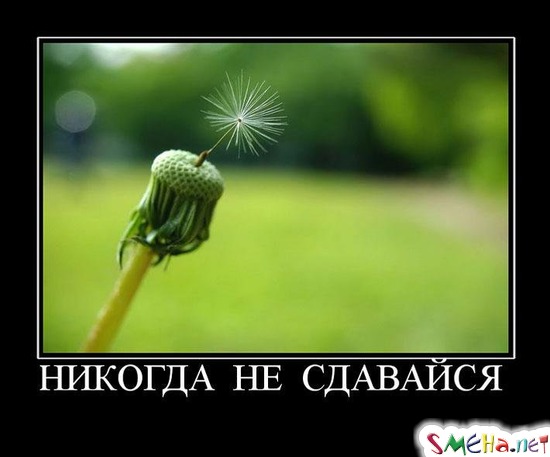 НИКОГДА НЕ СДАВАЙСЯ