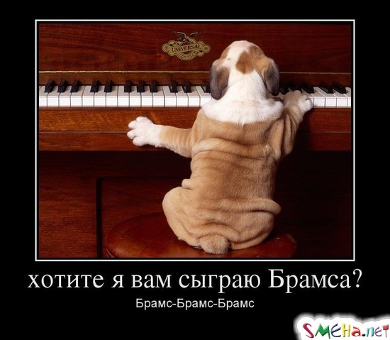 хотите я вам сыграю Брамса? - Брамс-Брамс-Брамс