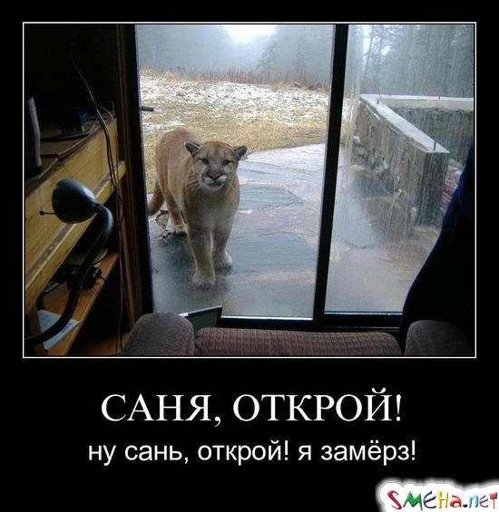 САНЯ, ОТКРОЙ! - ну сань, открой! я замёрз!