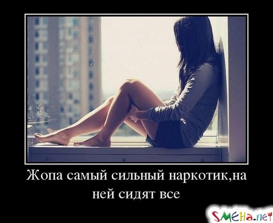 Жопа самый сильный наркотик, на ней сидят все