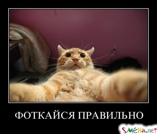 ФОТКАЙСЯ ПРАВИЛЬНО