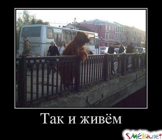 Taк и живём