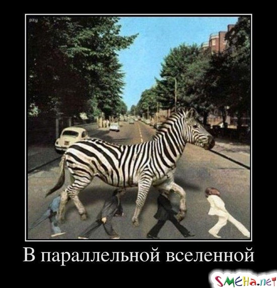 В параллельной вселенной