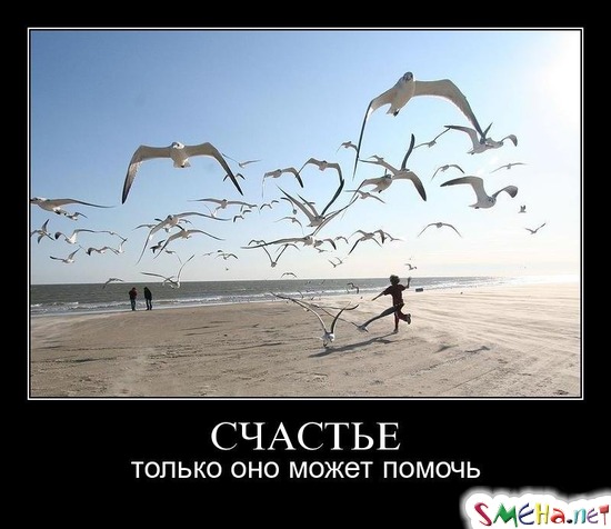 СЧАСТЬЕ - только оно может помочь