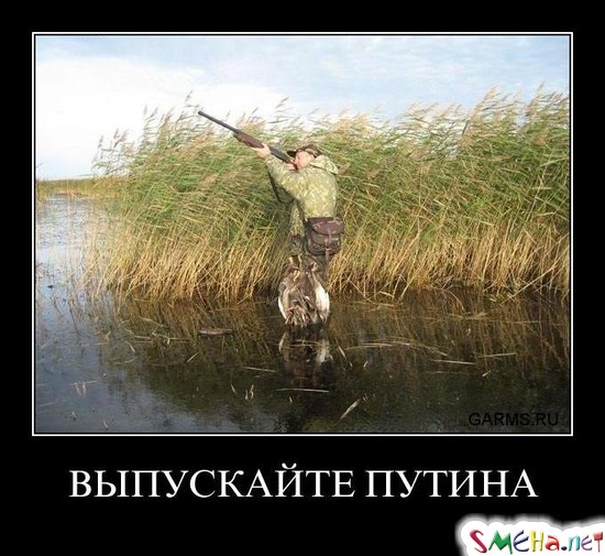 ВЫПУСКАЙТЕ ПУТИНА