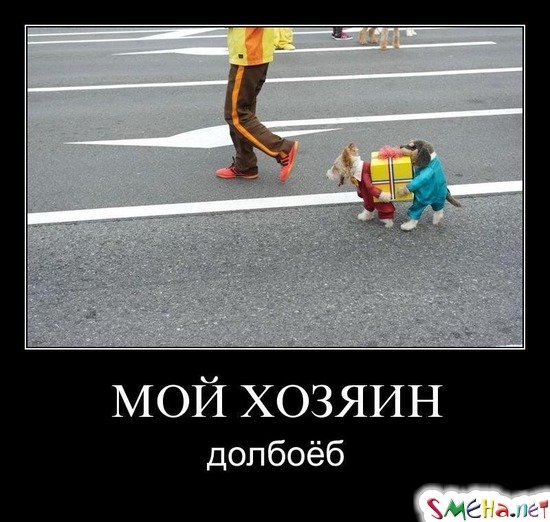 МОЙ ХОЗЯИН - долбоёб