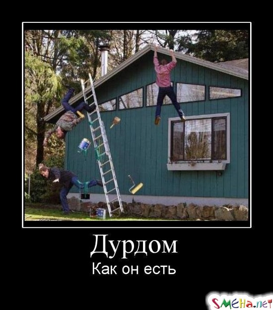 Дурдом - Как он есть