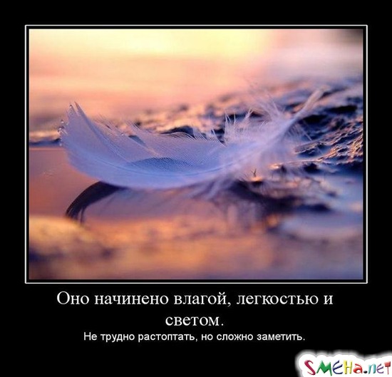 Оно начинено влагой, легкостью и светом. - Не трудно растоптать, но сложно заметить.
