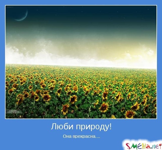 Люби природу! - Она прекрасна....