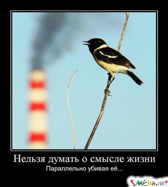 Нельзя думать о смысле жизни - Параллельно убивая её...