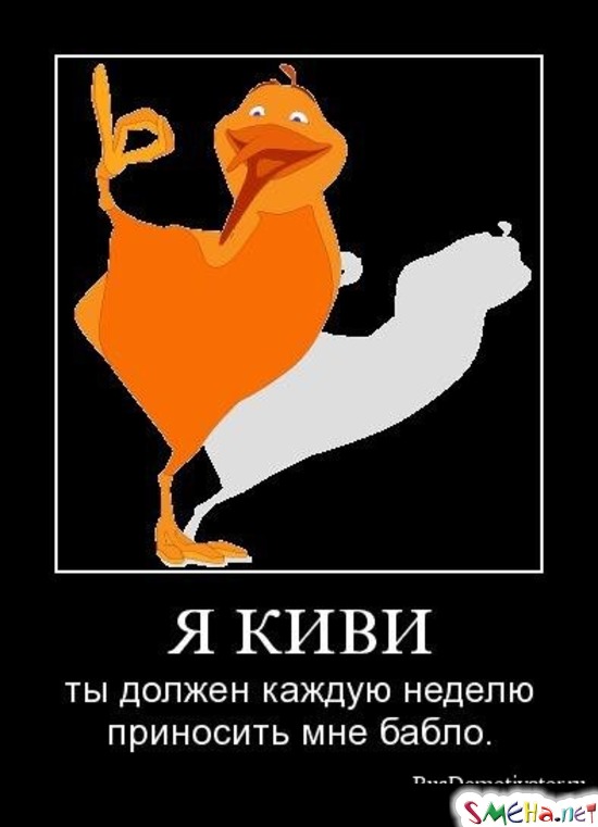 Я КИВИ - ты должен каждую неделю приносить мне бабло.