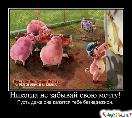 Никогда не забывай свою мечту! Пусть даже она кажется тебе безнадежной.