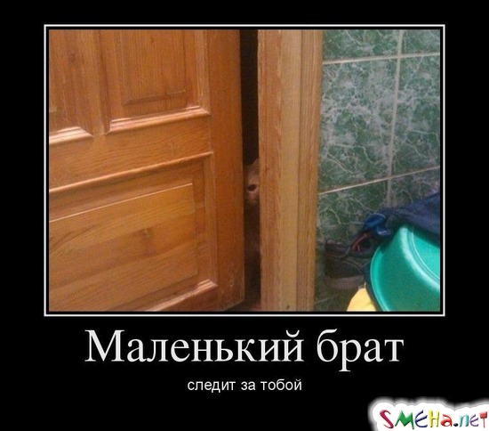 Маленький брат следит за тобой