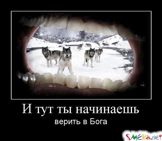 И тут ты начинаешь - верить в Бога