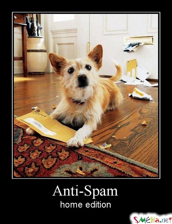 Anti-Spam home edition