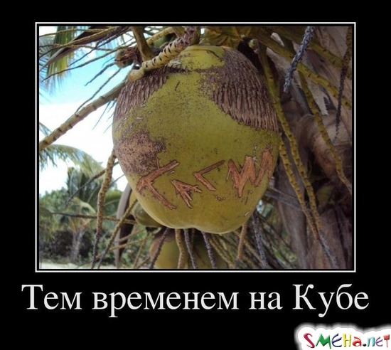Тем временем на Кубе