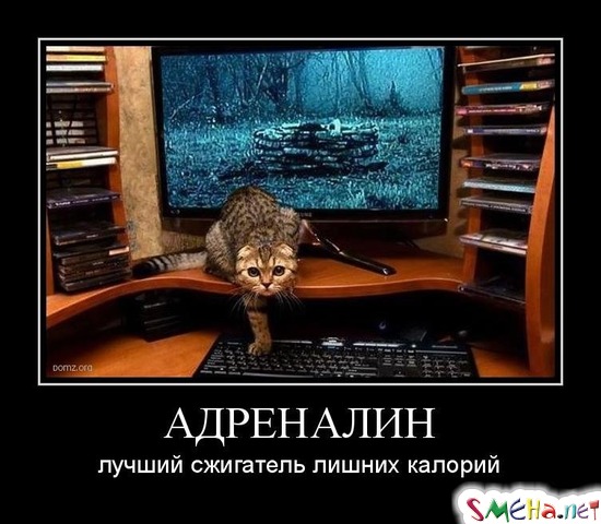 АДРЕНАЛИН - лучший сжигатель лишних калорий