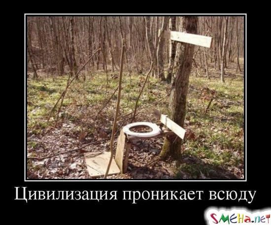 Цивилизация проникает всюду
