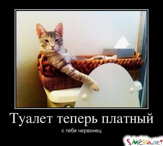 Туалет теперь платный - с тебя червонец