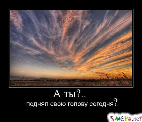 А ты?.. поднял свою голову сегодня?