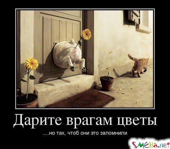 Дарите врагам цветы - ....но так, чтоб они это запомнили