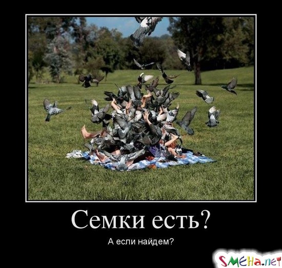 Семки есть? - А если найдем?