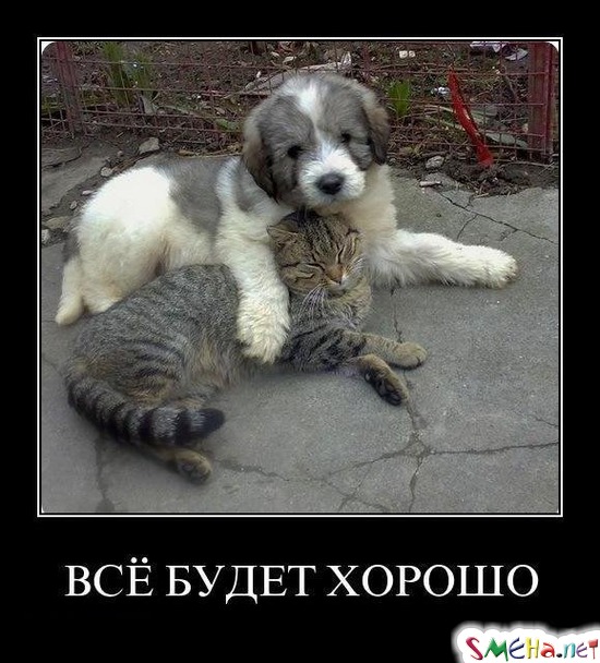 ВСЁ БУДЕТ ХОРОШО