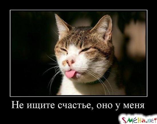 Не ищите счастье, оно у меня