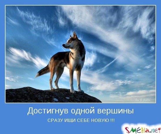 Достигнув одной вершины - СРАЗУ ИЩИ СЕБЕ НОВУЮ !!!