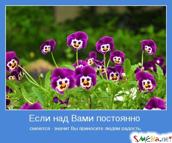 Если над Вами постоянно смеются - значит Вы приносите людям радость