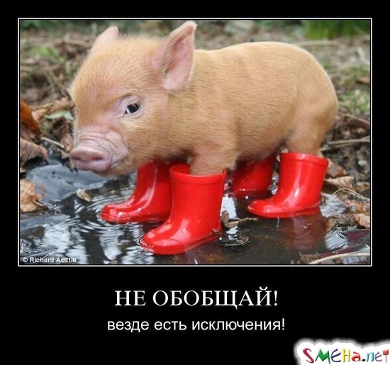НЕ ОБОБЩАЙ! - везде есть исключения!