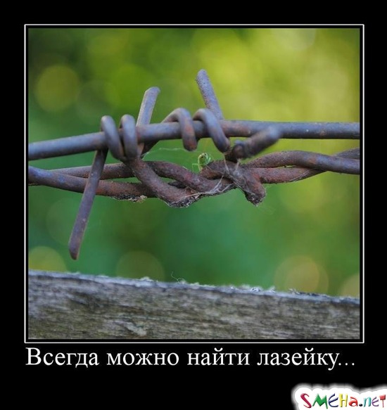 Всегда можно найти лазейку...