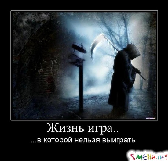 Жизнь игра.. - ...в которой нельзя выиграть