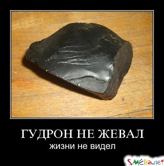 ГУДРОН НЕ ЖЕВАЛ - жизни не видел