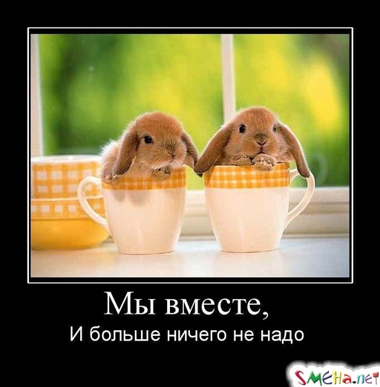 Мы вместе, И больше ничего не надо