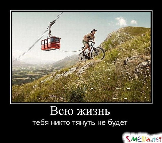 Всю жизнь - тебя никто тянуть не будет