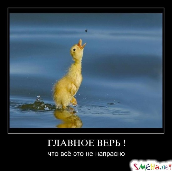 ГЛАВНОЕ ВЕРЬ ! - что всё это не напрасно