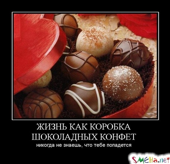 ЖИЗНЬ КАК КОРОБКА ШОКОЛАДНЫХ КОНФЕТ - никогда не знаешь, что тебе попадется